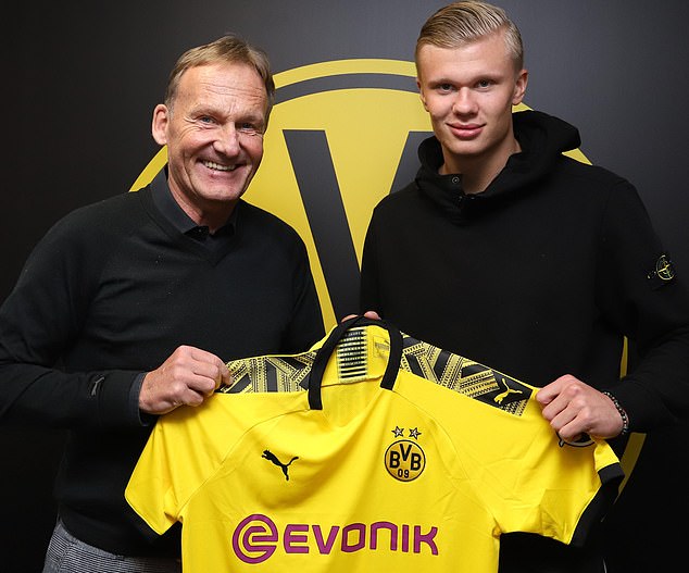 运动员简介：全面发展的篮球新星（球员档案：全能型篮球新秀）